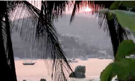 A view of the ocean from behind palm trees.